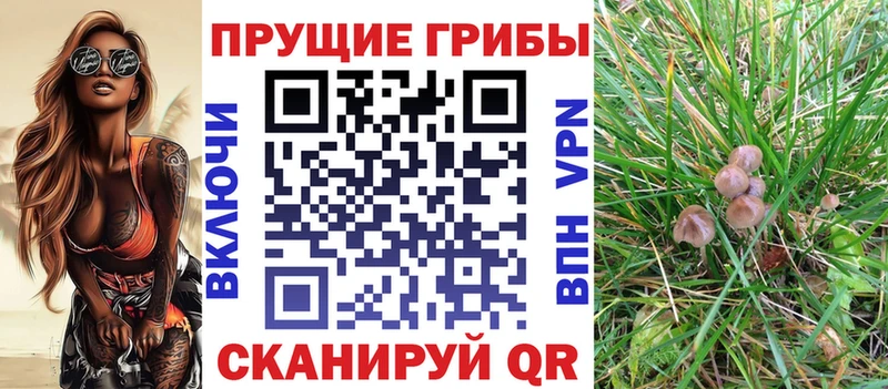 Псилоцибиновые грибы ЛСД KRAKEN ссылки Нюрба