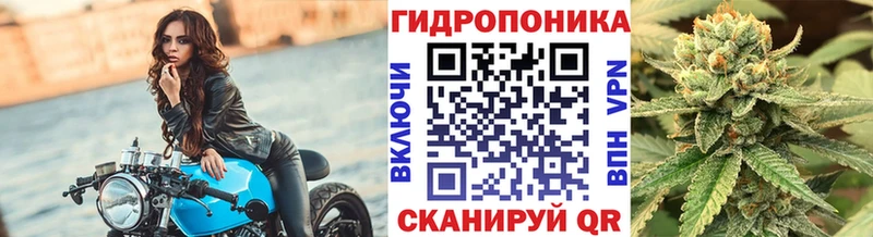 Канабис Amnesia  Нюрба 